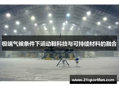 极端气候条件下运动鞋科技与可持续材料的融合